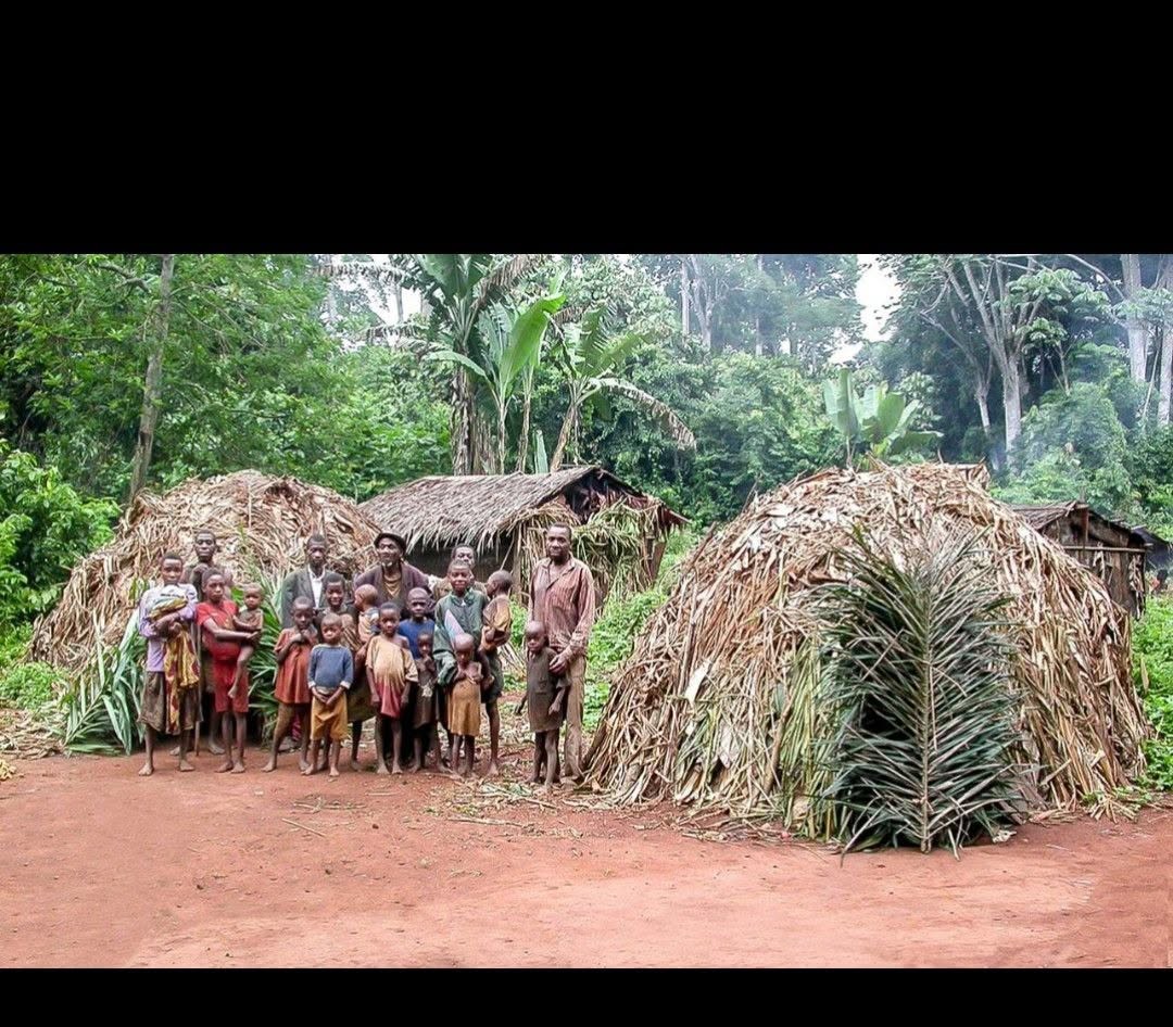Danse traditionnelle des peuples autochtones Batwa en forêt, Sud-Kivu